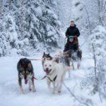 South Lapland Winter Experience - two day's husky tour