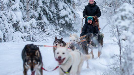 South Lapland Winter Experience - two day's husky tour