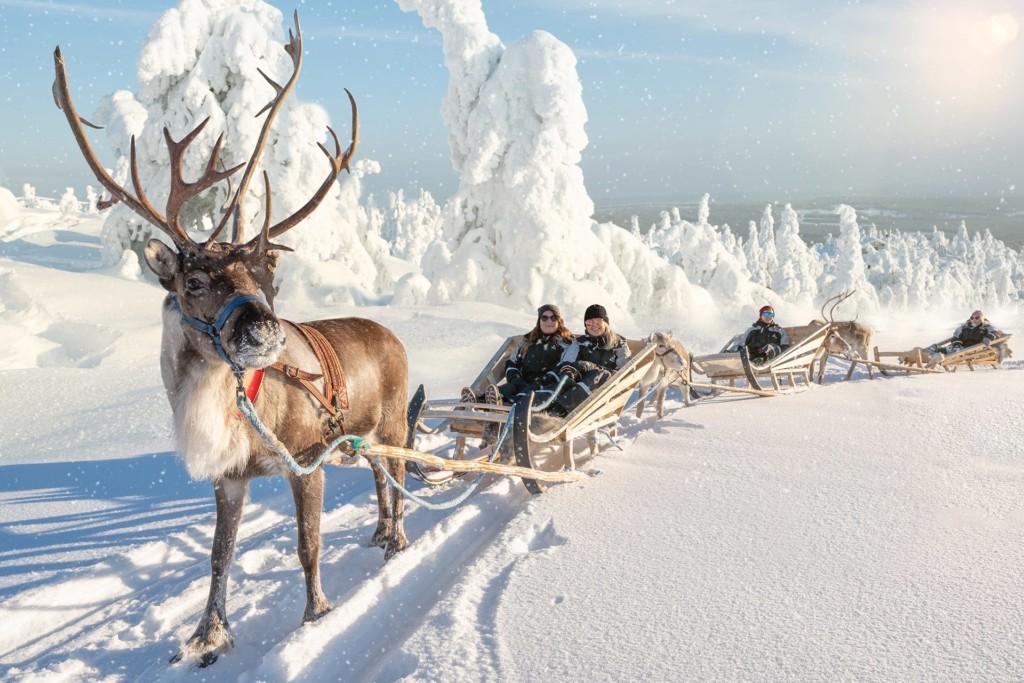 Hotel Iso-Syöte Reindeer Safari 