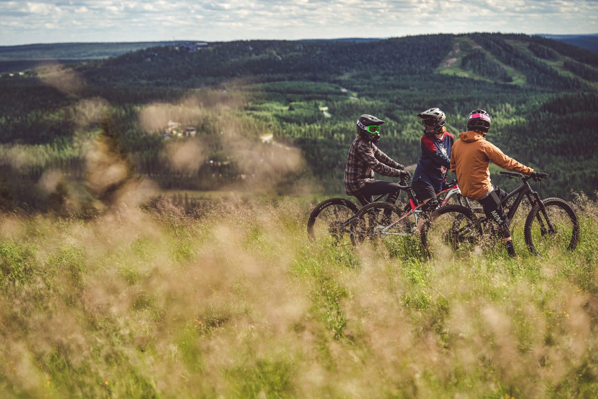 Iso-Syöte Bike Park - Syöte