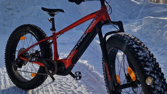 RockMachine E90 E-FatBike