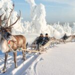 Hotel Iso-Syöte Reindeer Safari